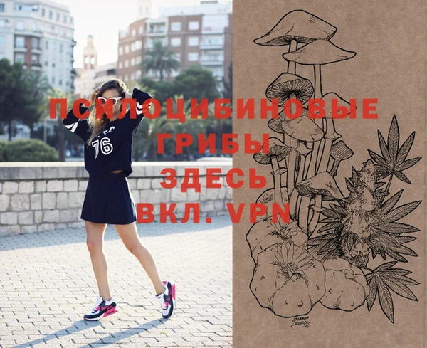 PSILOCYBIN Белоозёрский