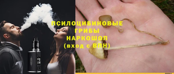 не бодяженный Богородицк