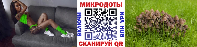Купить где  Завитинск  Псилоцибиновые грибы Cubensis 